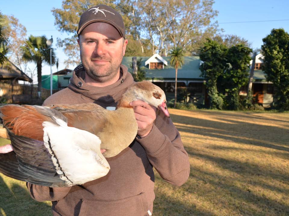 Egyptian Goose Hunting Safaris in Africa.jpg